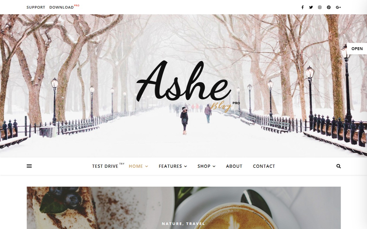 blog ashe theme