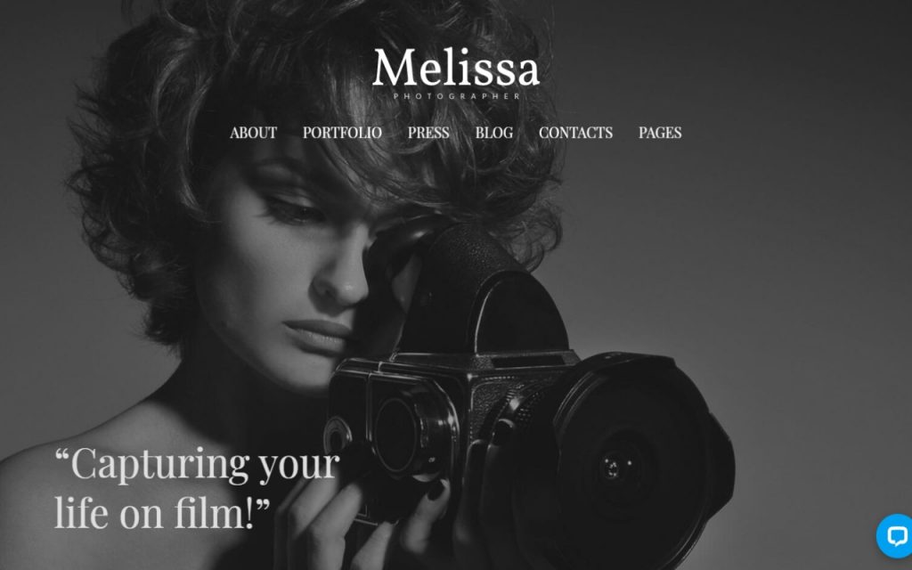 10+ Best Free WordPress Themes For Artists (2024) Laborator