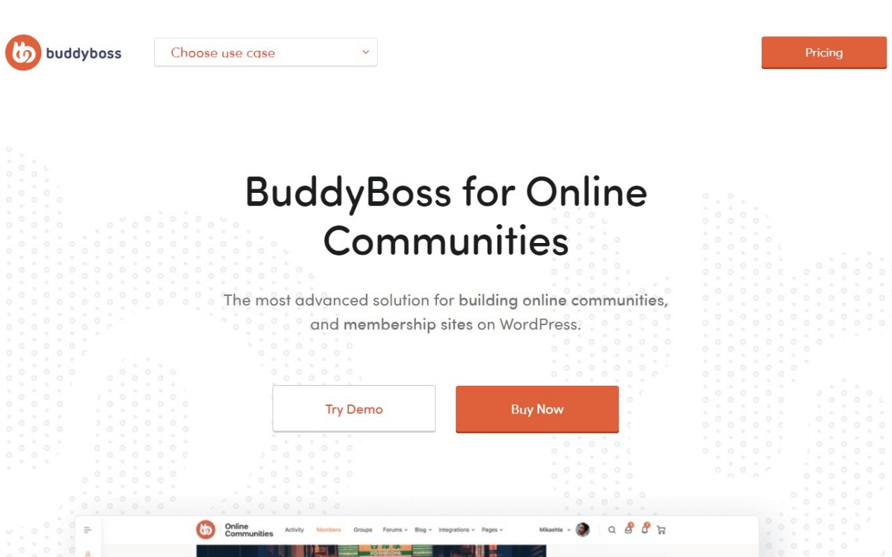 community buddyboss theme