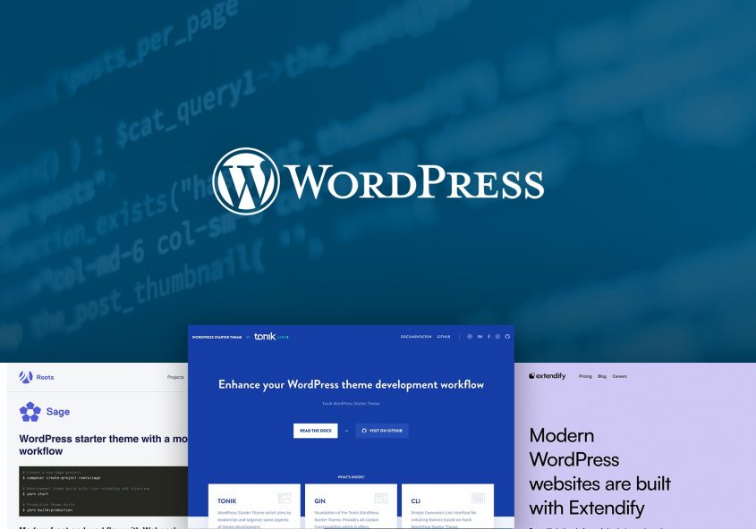 Best WordPress Started Themes for Developers