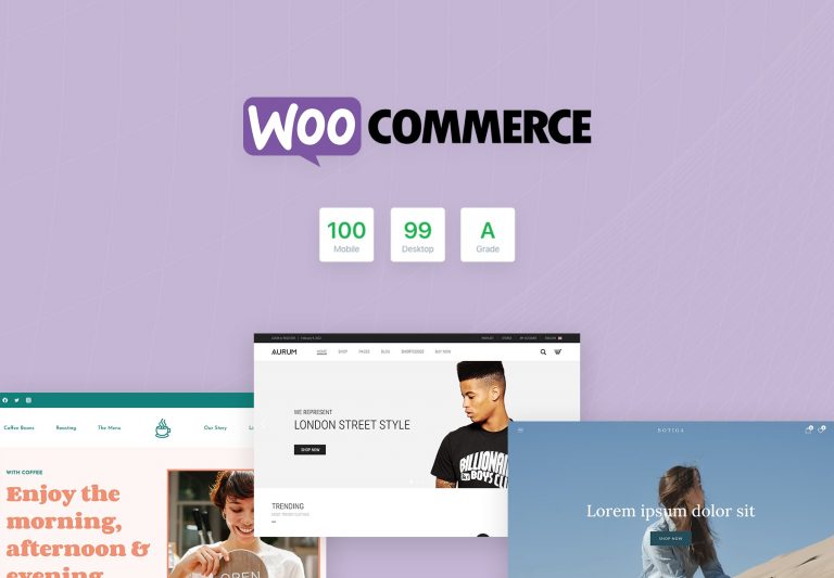 Top Fastest WooCommerce Themes