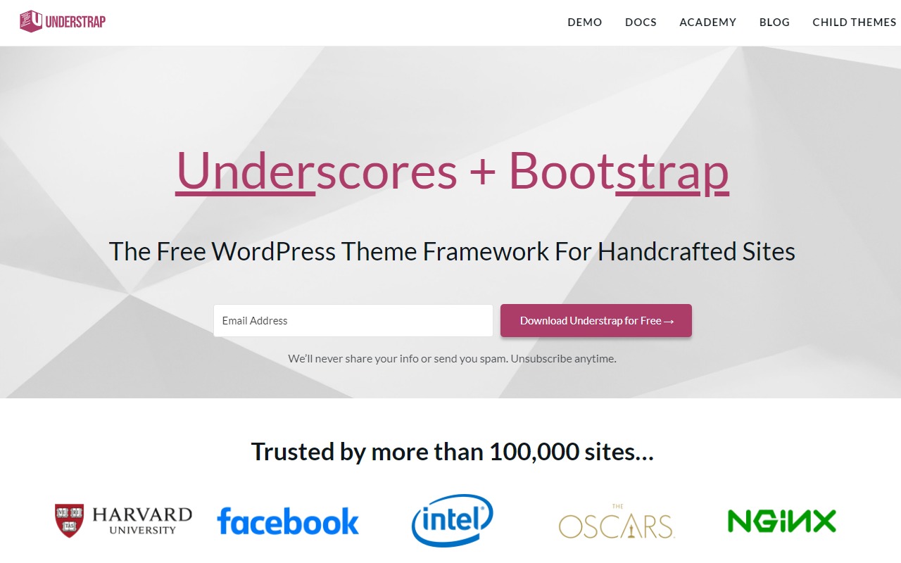 developerthemes understrap theme